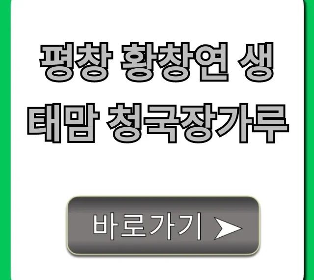 평창 황창연 생태맘 청국장가루 내돈내산 효능