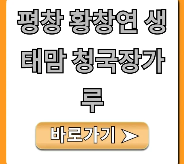 평창 황창연 생태맘 청국장가루 효능 총정리