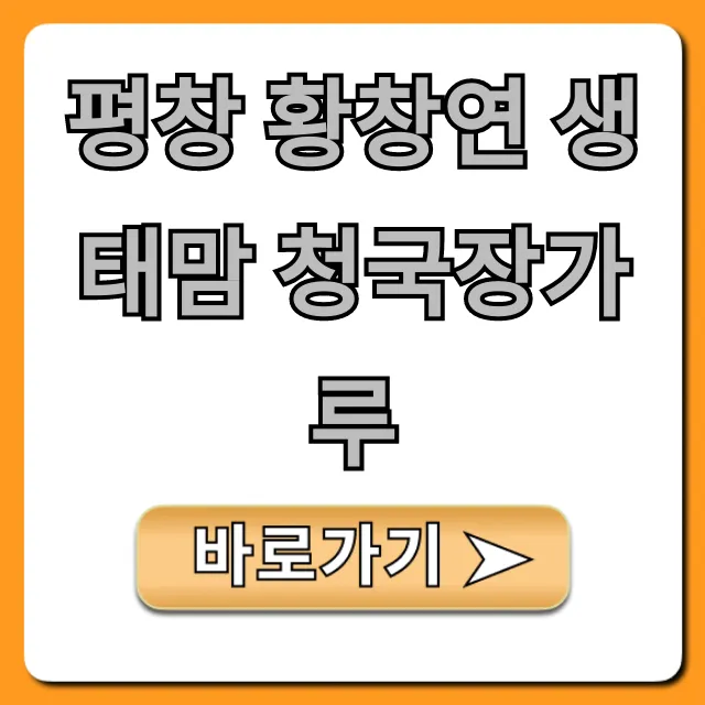 평창 황창연 생태맘 청국장가루 효능 총정리