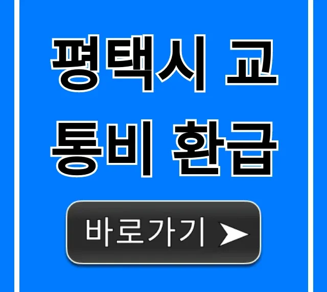 평택시 교통비 환급! 100% 받는 신청 꿀팁