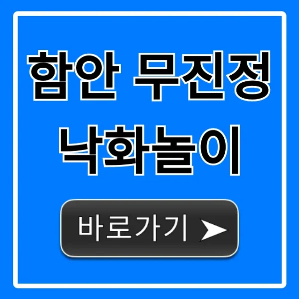 함안 무진정 낙화놀이 명당 주차 총정리