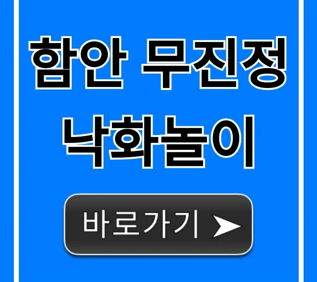 함안 무진정 낙화놀이 명당 주차 총정리