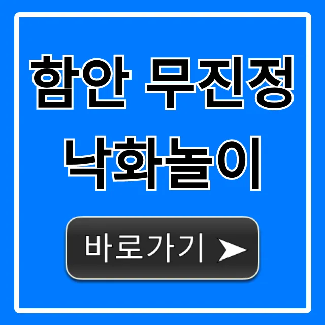 함안 무진정 낙화놀이 명당 주차 총정리