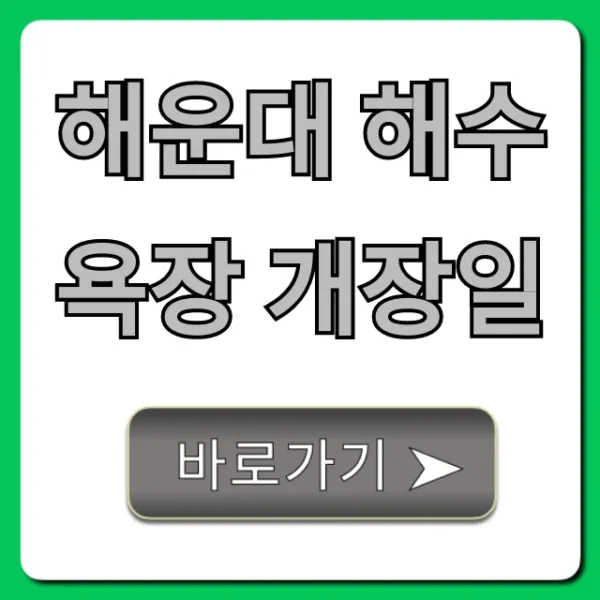 해운대 해수욕장 개장일: 여름 준비 필수 정보