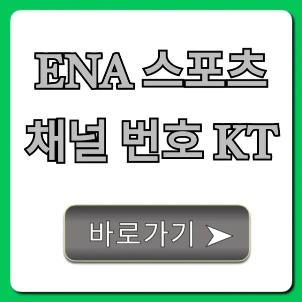 ena 스포츠 채널 번호 kt 최신 정보 총정리
