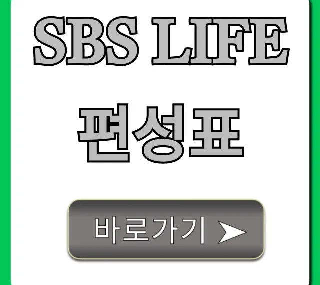 SBS Life 편성표 오늘 실시간 조회 완벽 총정리