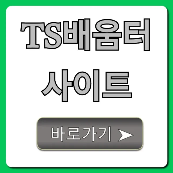 ts배움터 사이트 조회 발급 신청 완벽 가이드