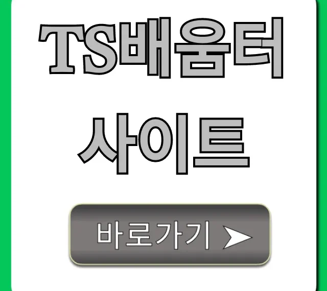 ts배움터 사이트 조회 발급 신청 완벽 가이드