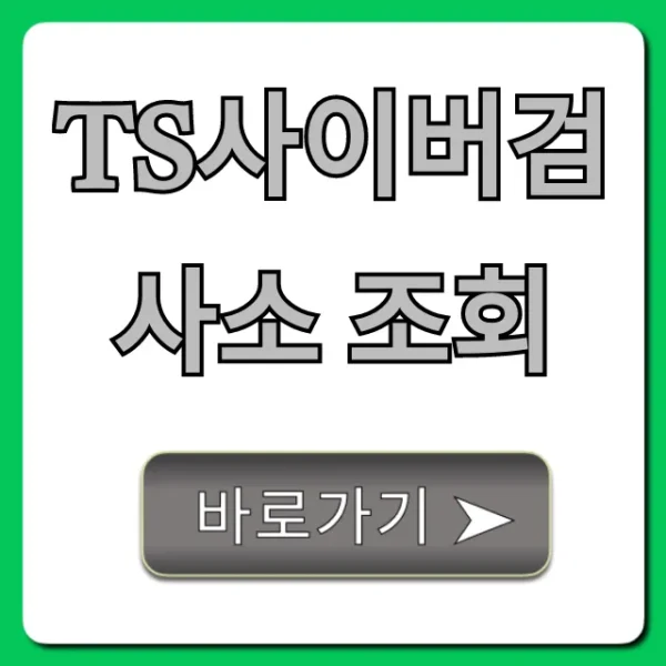 ts사이버검사소 조회! 자동차 검사 결과 한눈에