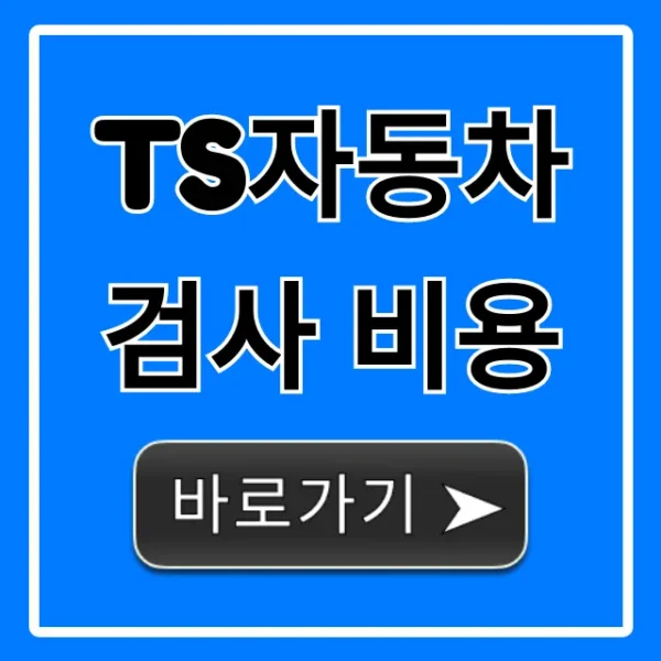 TS자동차검사 비용: 할인 꿀팁까지 완벽 가이드!