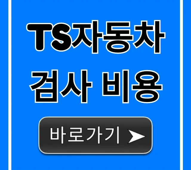 TS자동차검사 비용: 할인 꿀팁까지 완벽 가이드!