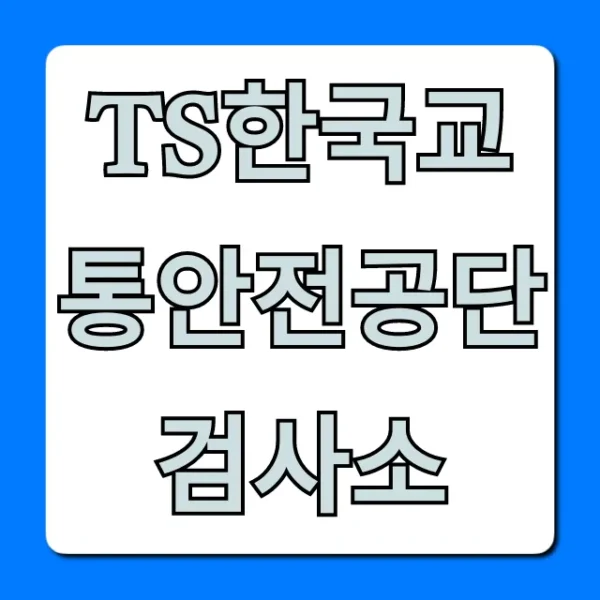 TS한국교통안전공단 검사소 예약 꿀팁 총정리