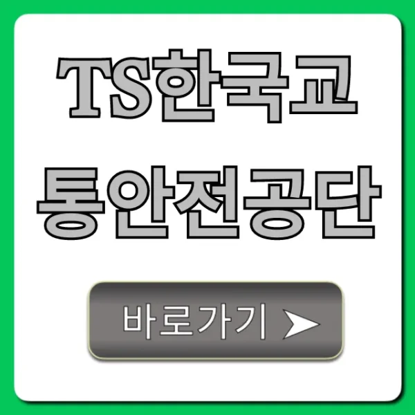 TS한국교통안전공단 민원 & 검사 완벽 가이드