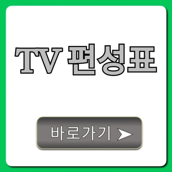 tv 편성표 오늘 실시간 확인 총정리