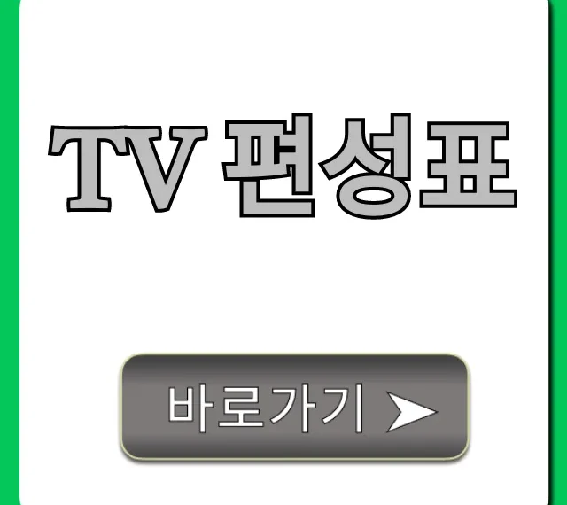tv 편성표 오늘 실시간 확인 총정리