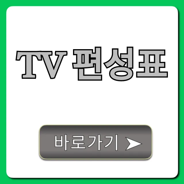 tv 편성표 오늘 실시간 확인 총정리