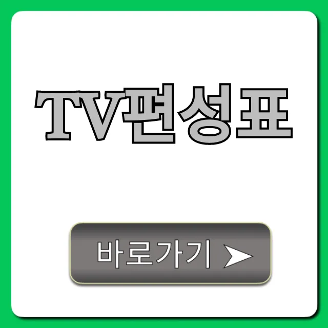 TV편성표 실시간 조회! 오늘 방송 꿀팁