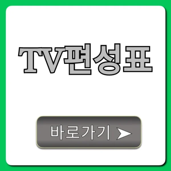 TV편성표 오늘 실시간 방송 총정리