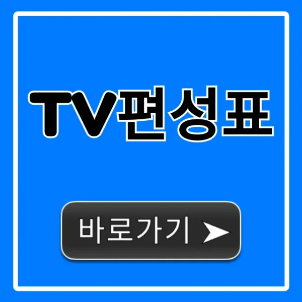 TV편성표 오늘 실시간 조회 완벽 가이드