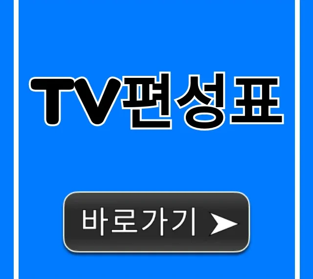 TV편성표 오늘 실시간 조회 완벽 가이드