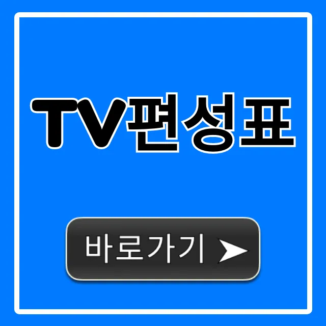 TV편성표 오늘 실시간 조회 완벽 가이드